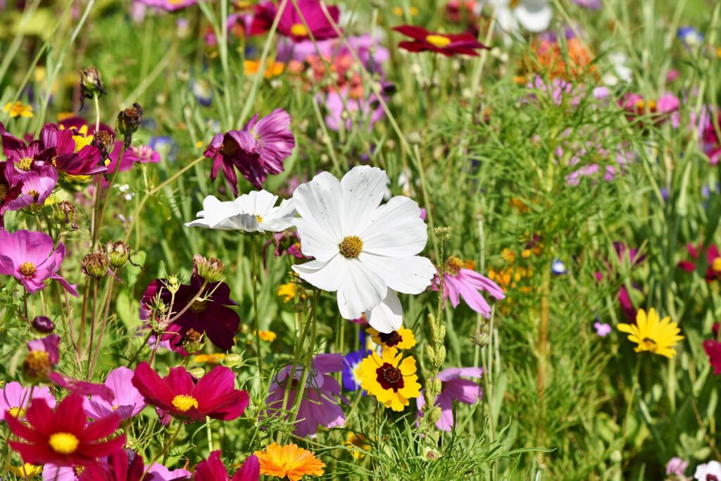 Read more about the article Gut gerüstet für die kommende Gartensaison