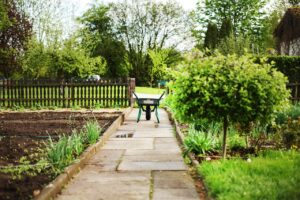 Read more about the article Gegenstände richtig im Garten lagern: Das sind die besten Lagerorte!